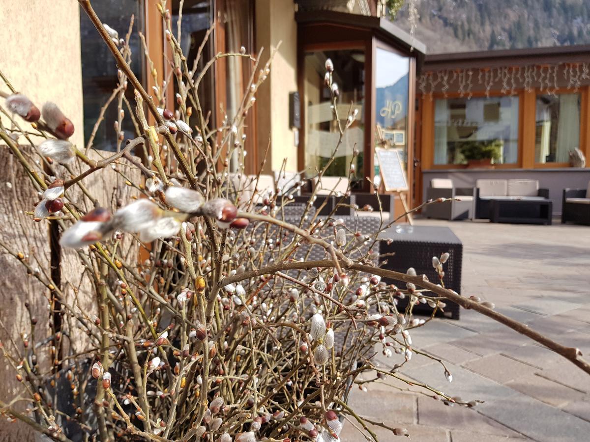 Hotel Pedretti Branzi Luaran gambar